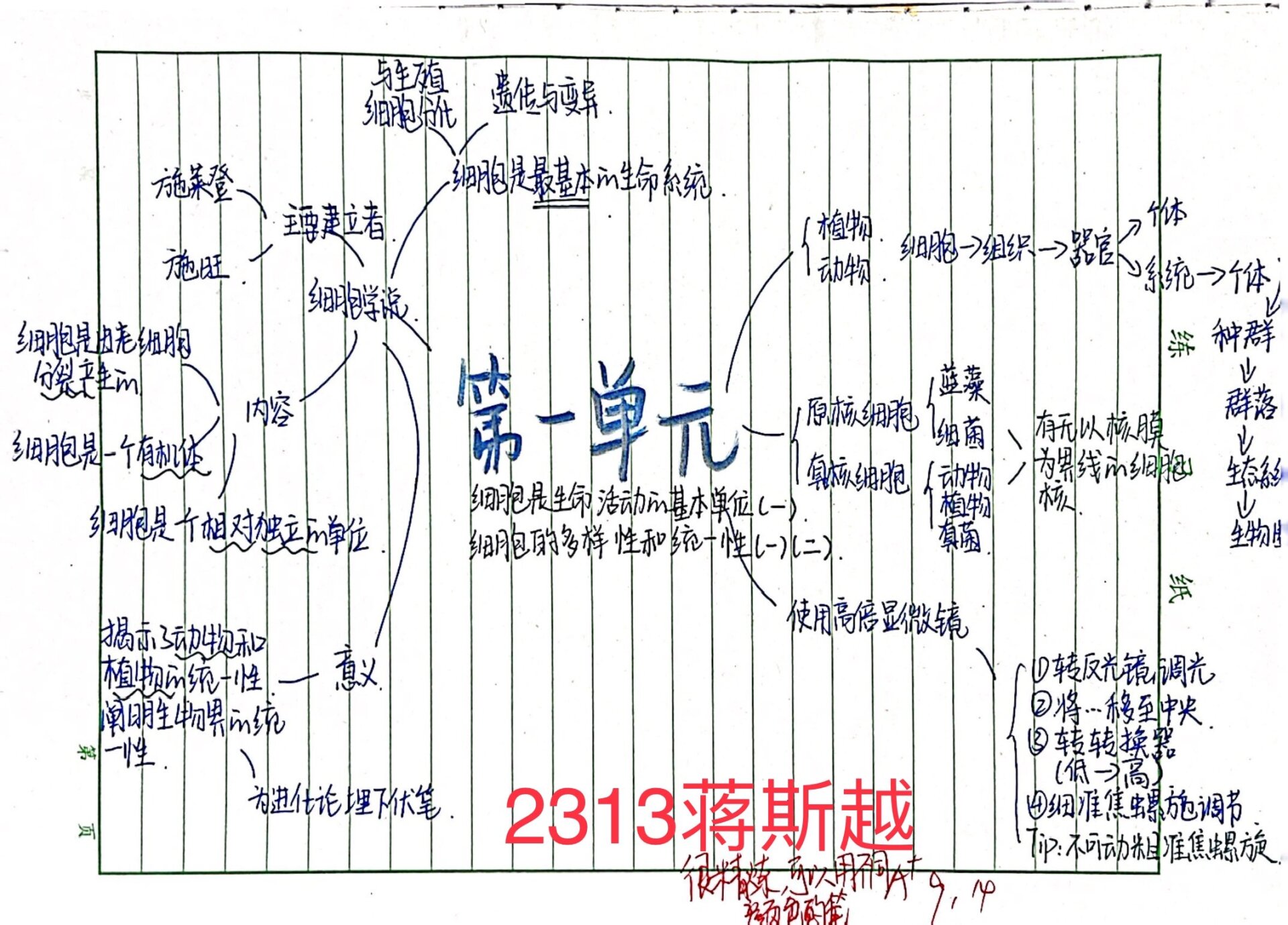 高中生物必修一第一章思维导图分享四