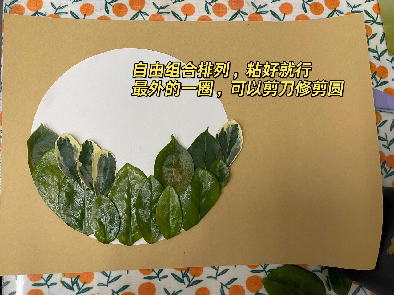 简单的春天的树叶手工小报