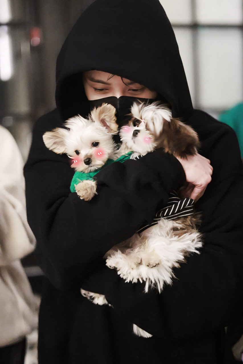 檀健次抱狗饭拍# 狗狗在怀里好可爱