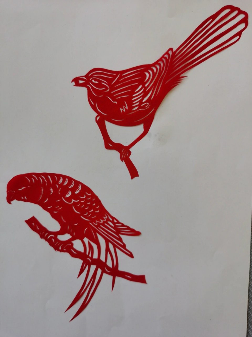 小鸟剪纸(二)原创 原来每天进步一点点,真的是很开心的事.