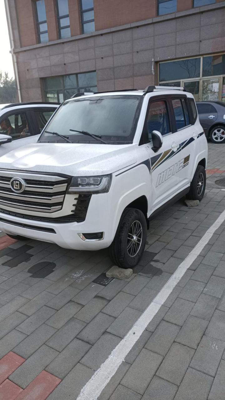 四轮低速电动车 新能源电动汽车龙启四轮皮卡专营