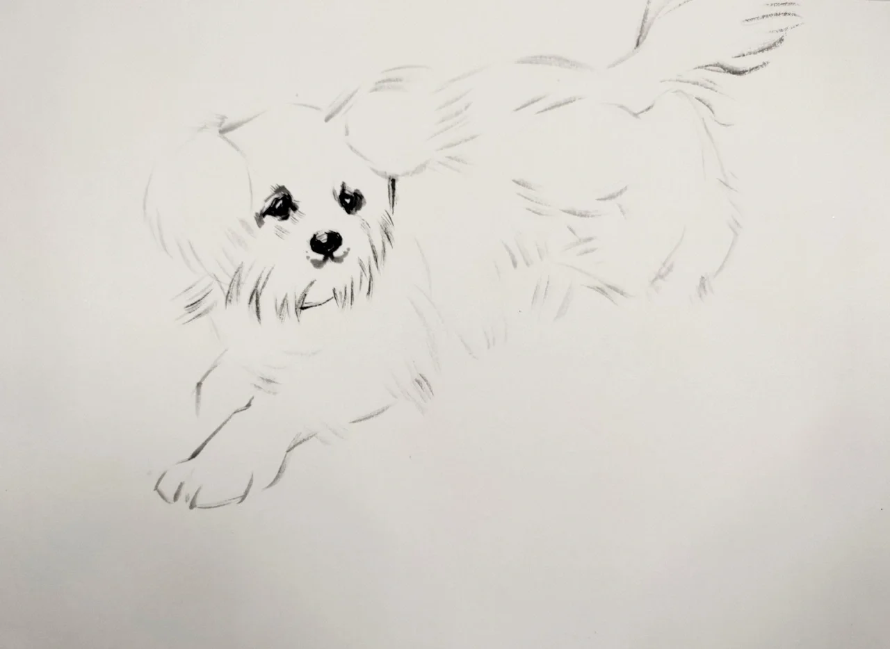 萌宠狗狗国画教程-步骤图-笔记