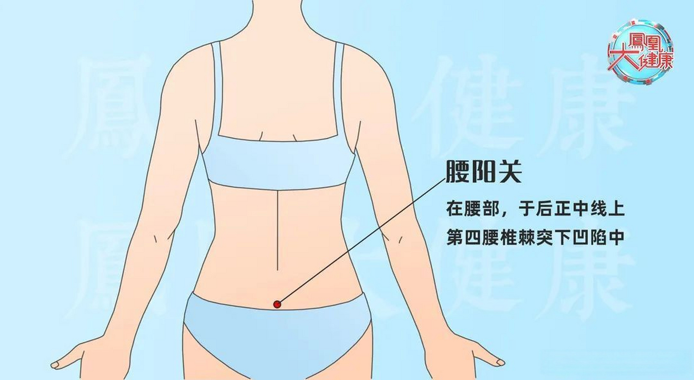 缓解腰疼腰阳关穴#40岁的人60岁的腰#  左手或右手握拳,以拳尖置于腰