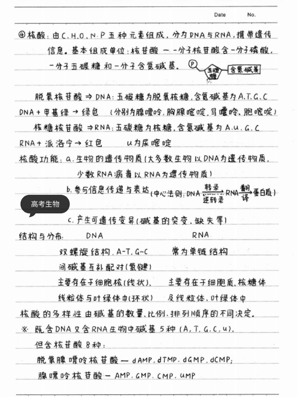 97衡水学霸99高中生物笔记  99衡水学霸手写笔记  适合高一到