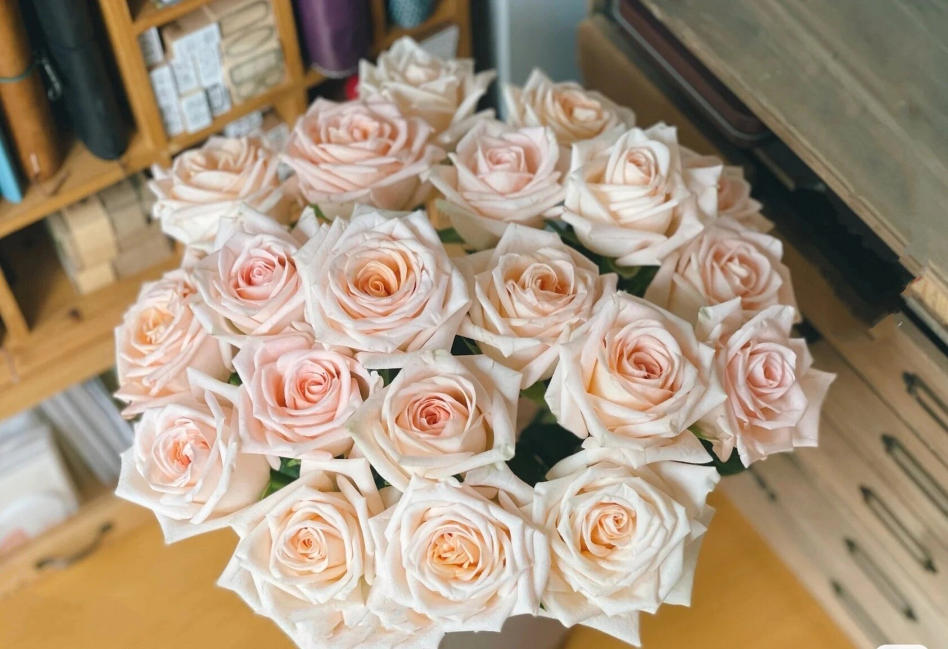 每天认识一种花--柏拉图玫瑰 柏拉图 浪漫的名字,浪漫的颜色,肉粉色