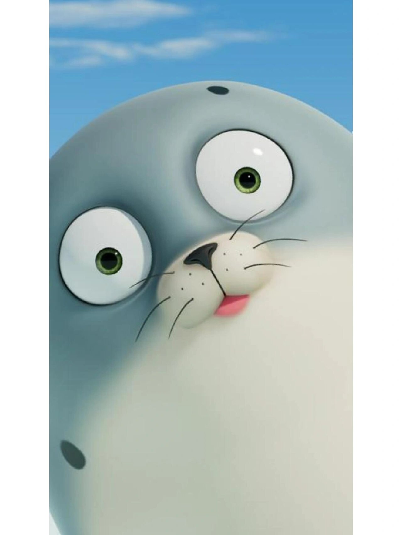 韩国动画《海豹看看》全12集