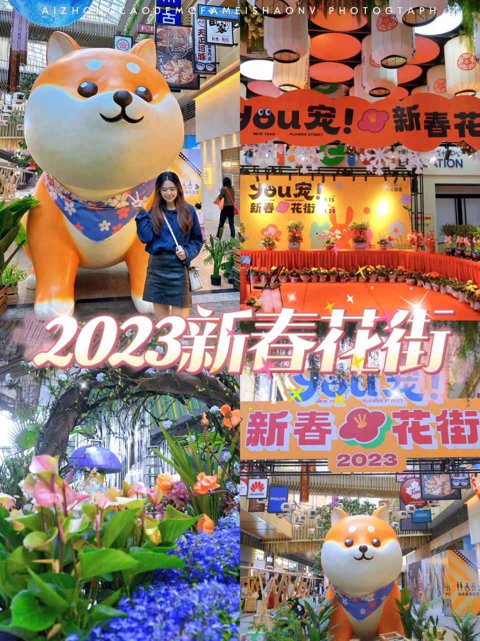 2023佛山首个宠物迎春花市94 快来行花街 花市去得多了,桂城第166