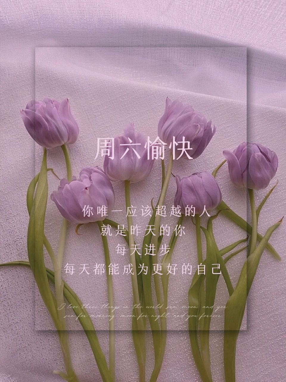 周六愉快 | 早安图 | 文案 | 朋友圈美学 | #把春天搬进家# #春日漫游