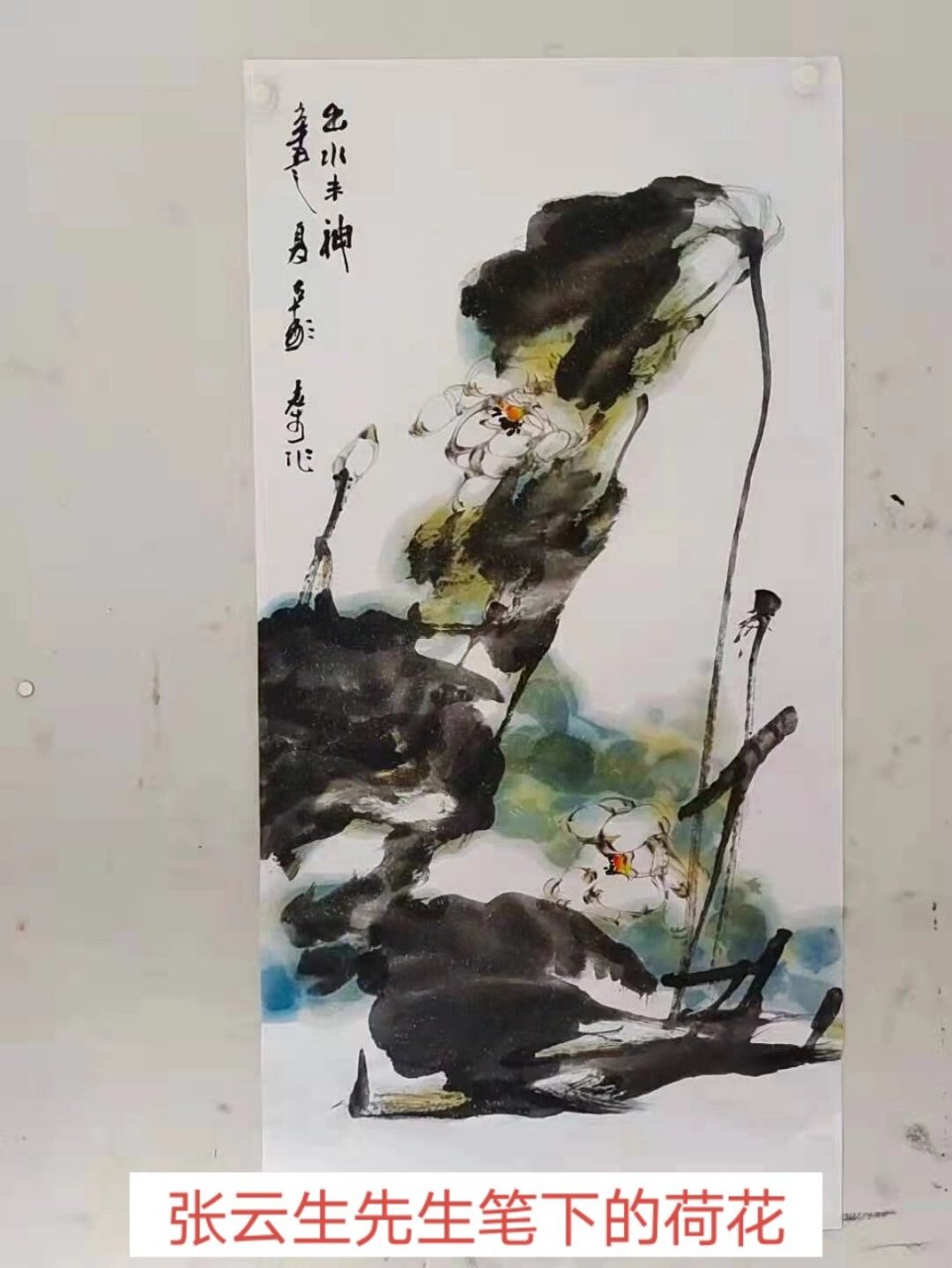 画家张云生先生,传承文化 国画大写意