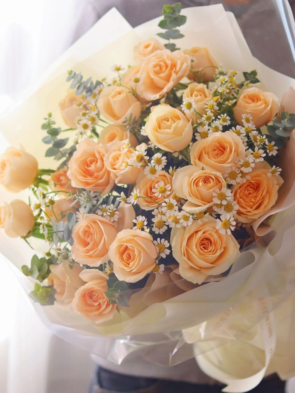 香槟玫瑰花束洋甘菊 素雅的香槟玫瑰,搭配清新的洋甘菊,也是绝配啊