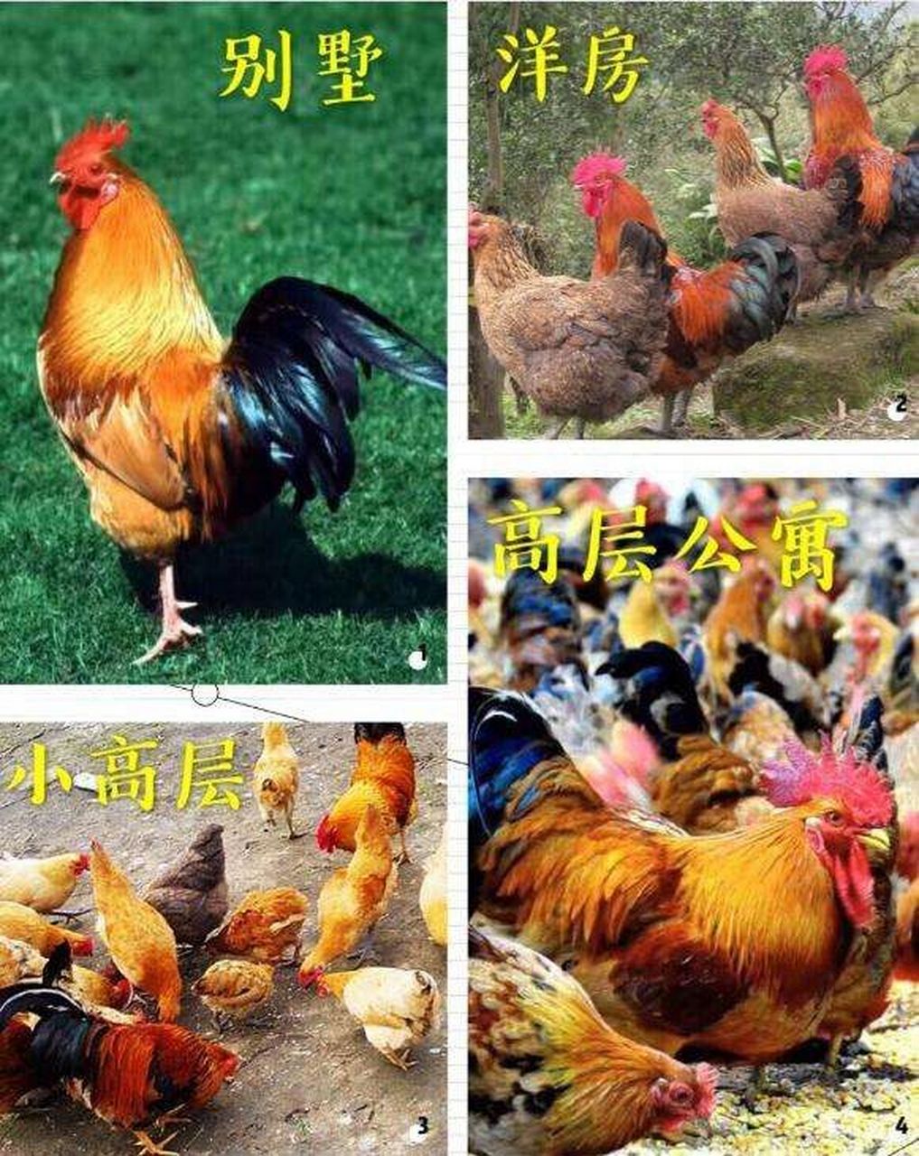 什么叫容积率⁉️一张图片告诉你😂😂 什么叫容积率?(做个比