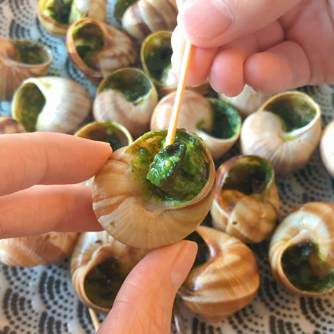 在法国旅游的时候,每餐必点法式蜗牛96,心心念念这个味道