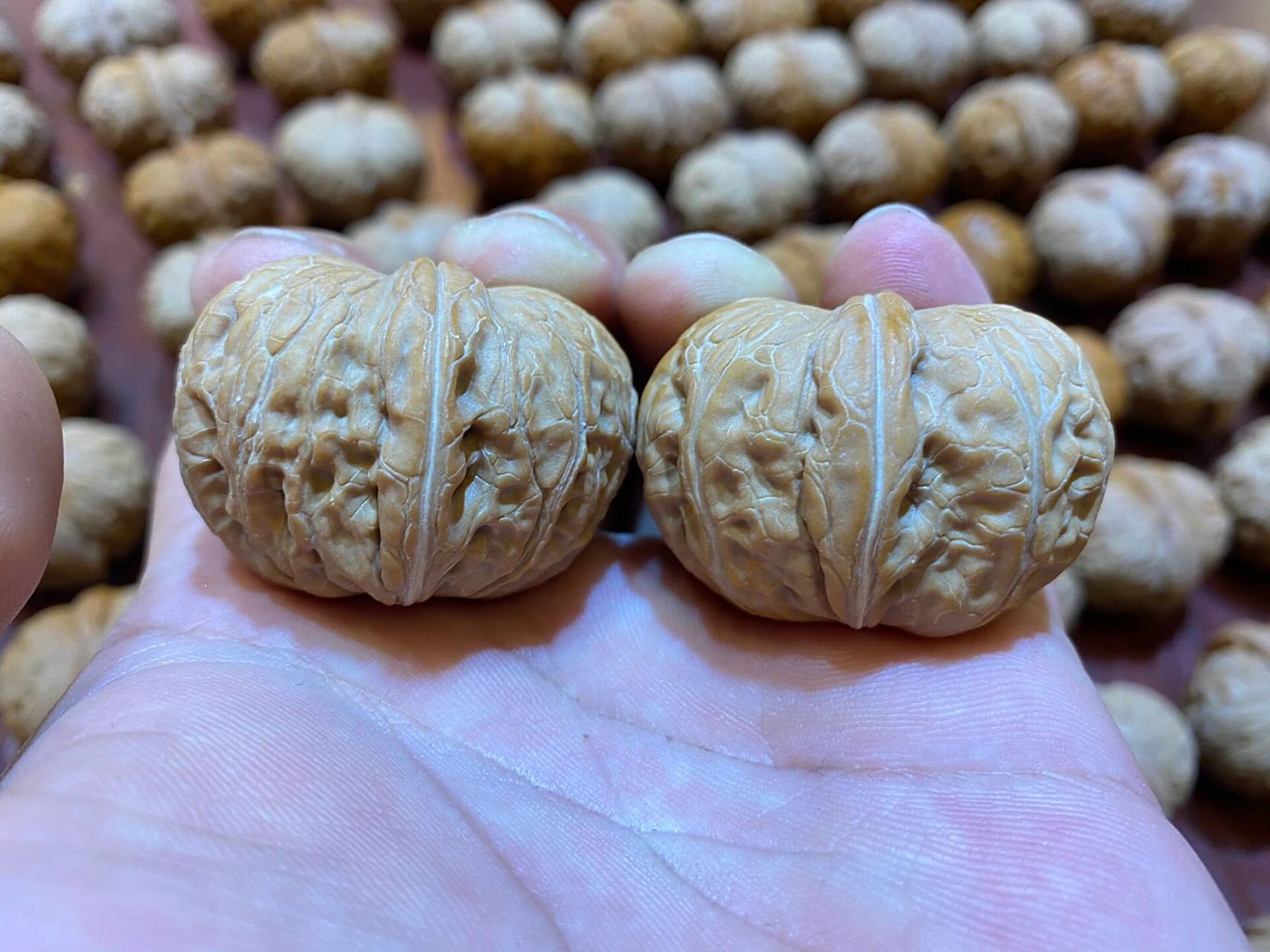 平谷元宝核桃呈椭圆形或卵形,侧看形状和古代的元宝相似,底部较窄