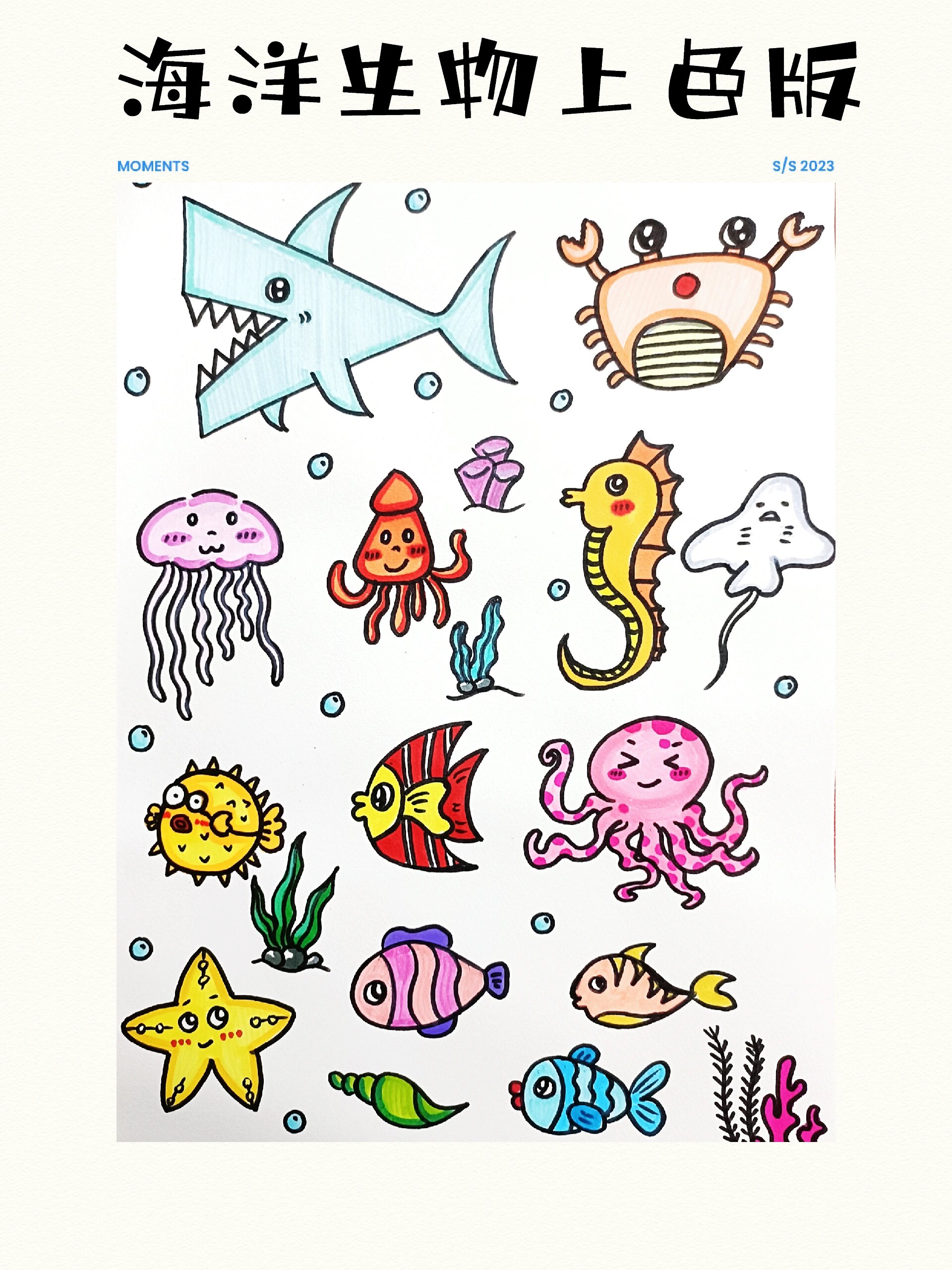 海洋生物简笔画上色版