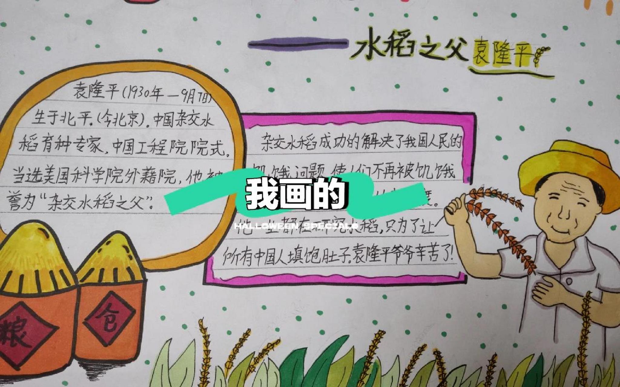 水稻之父   袁隆平手抄报