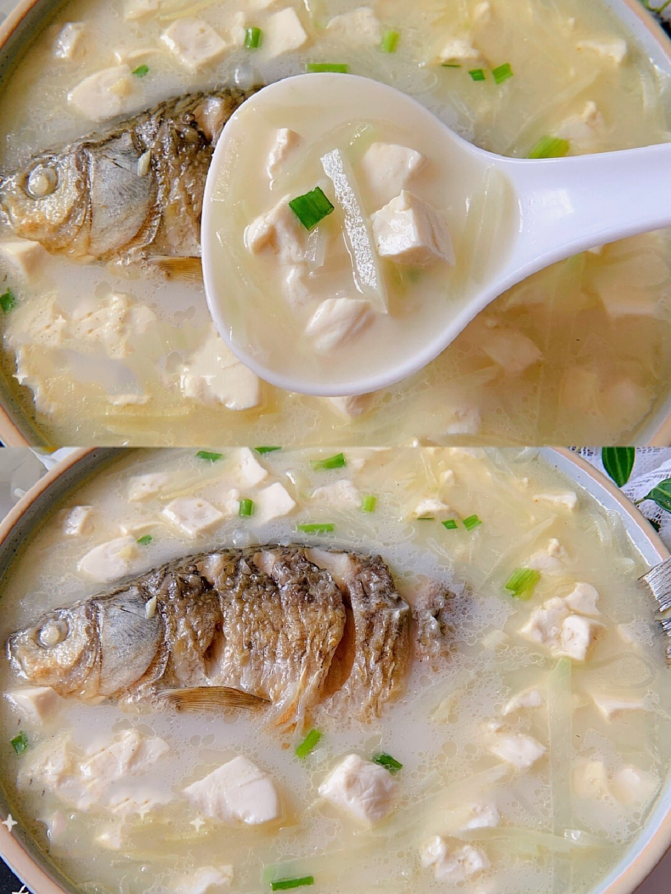 9595今天跟黄磊老师学做鲫鱼汤,汤跟牛奶一样奶白鲜浓,喝一口