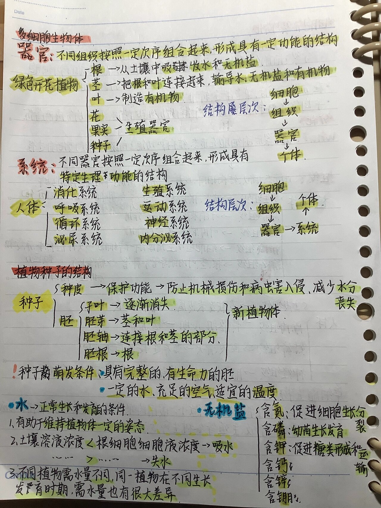 七上生物笔(七上生物笔记总结)  第1张