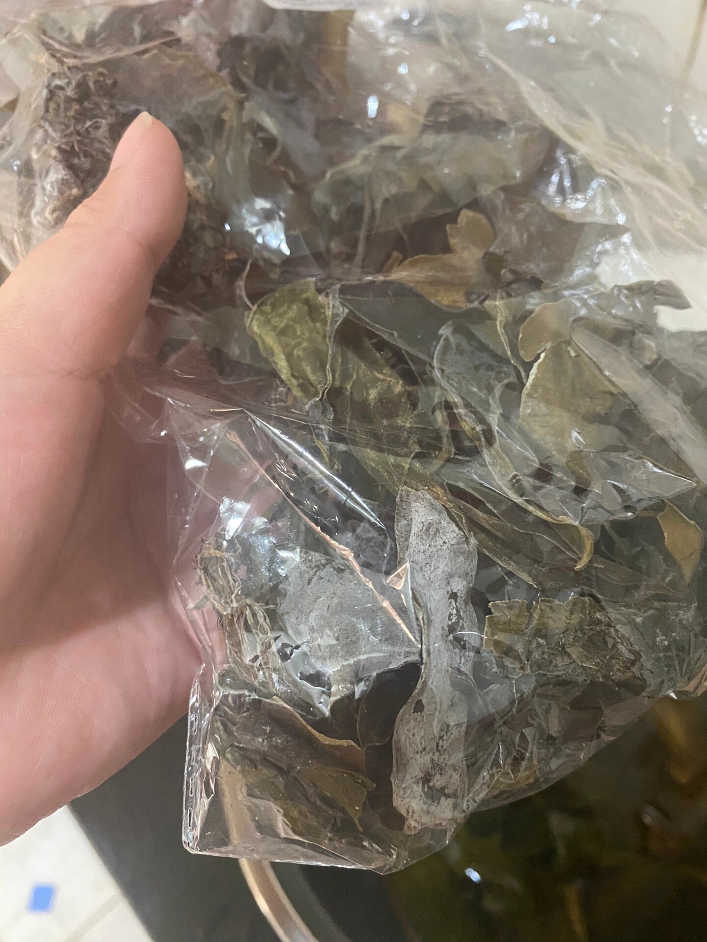 干海带发霉了能不能吃?