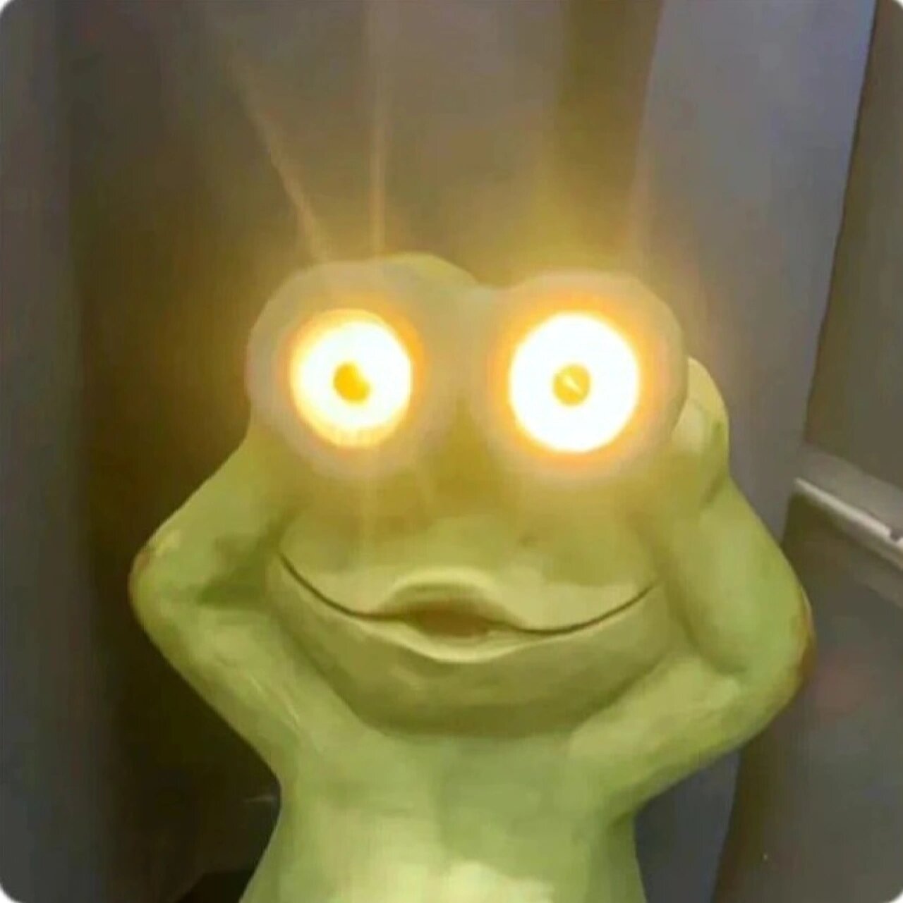会发光的青蛙🐸