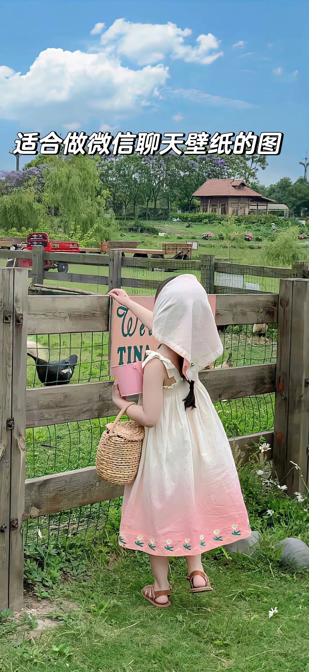 适合做微信聊天壁纸的图