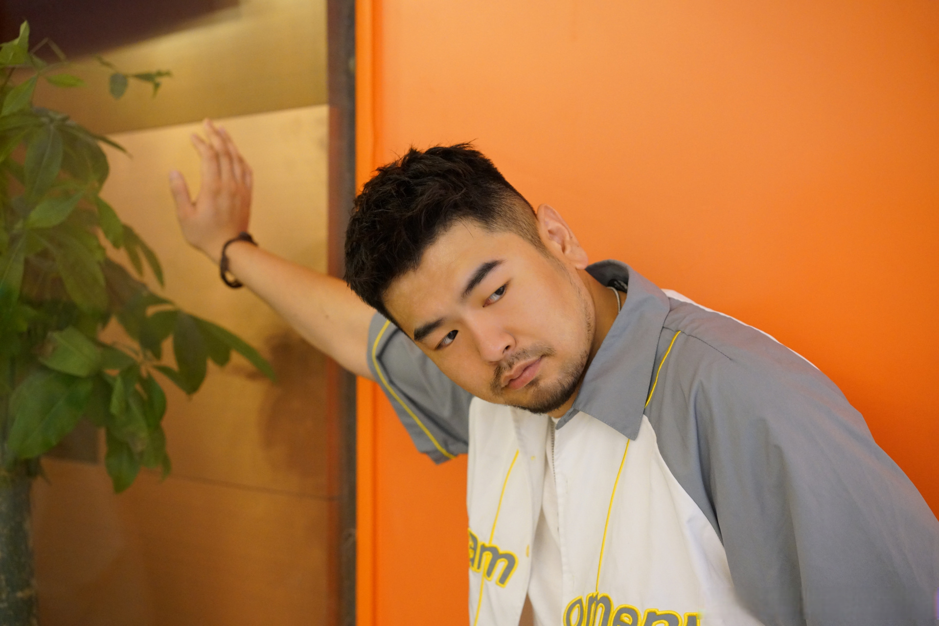 十七君# [国宝] #熊猫堂#  初秋的橙子一枚92