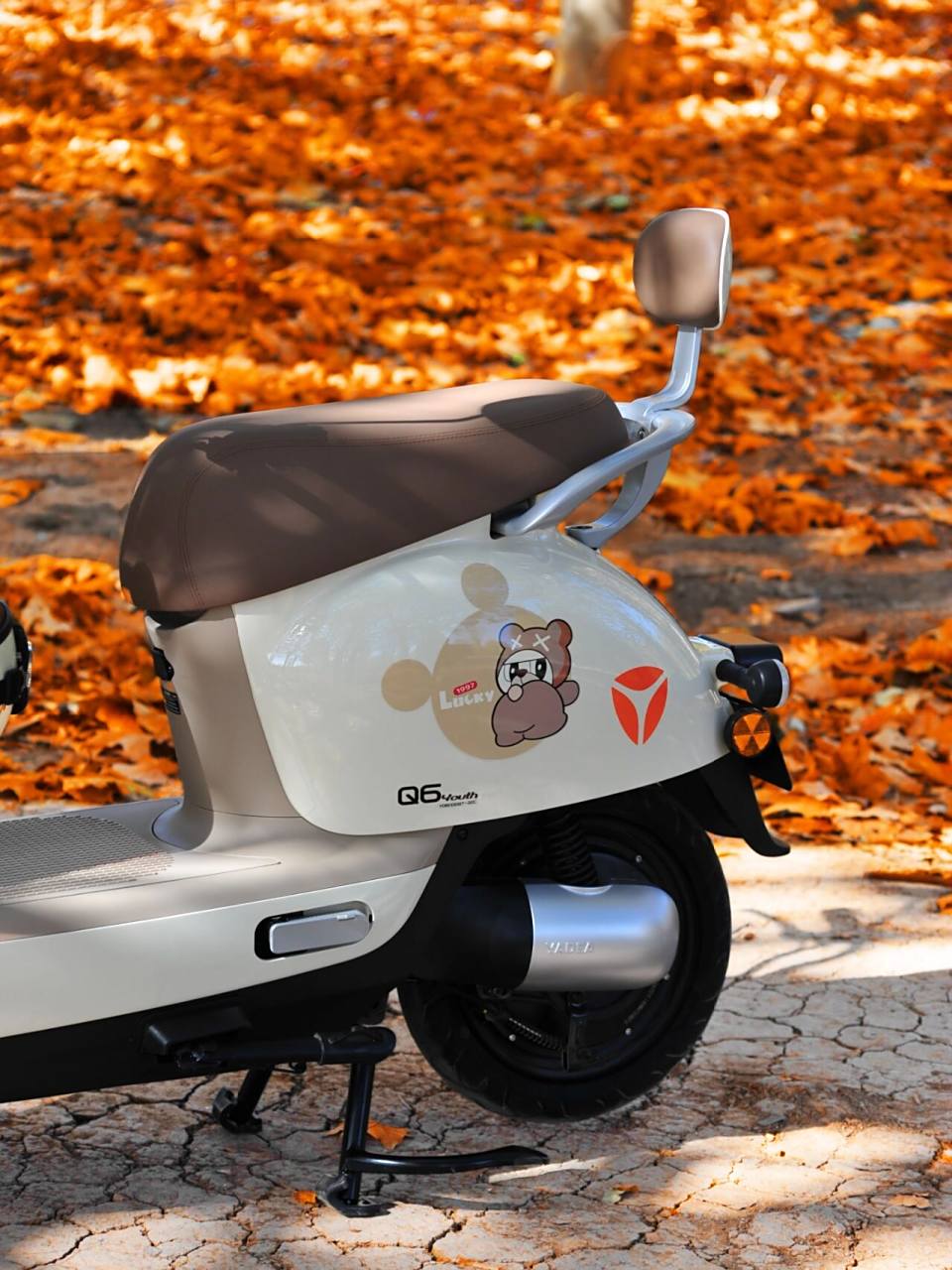 雅迪01q6青春版|一起感受93的氛围感 落叶与阳光7715洒在你的