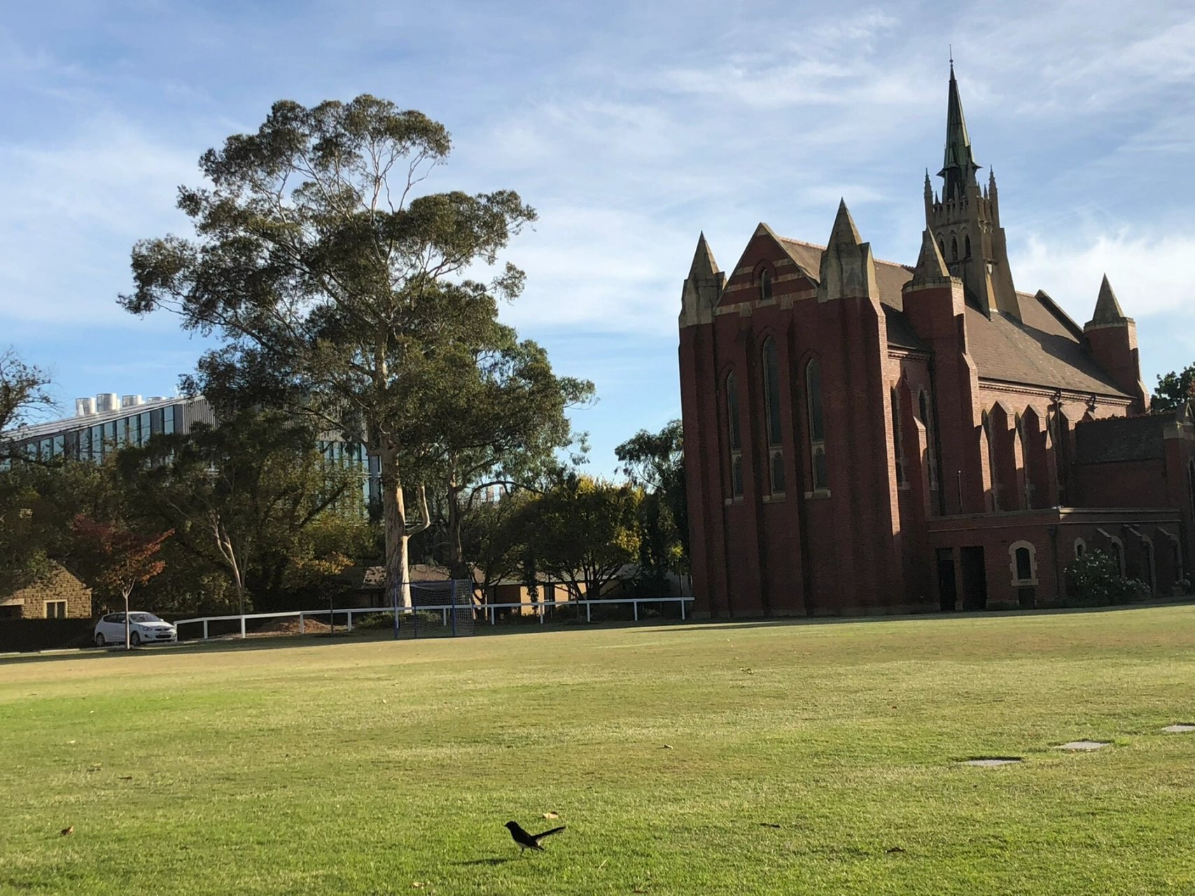 墨尔本大学预科trinity college圣三一学院  预科trinity college