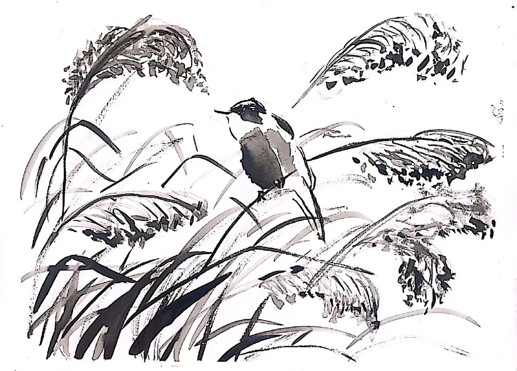 水墨61芦苇荡 第一次尝试用这种偏国画的风格嘿嘿,感觉还可以的