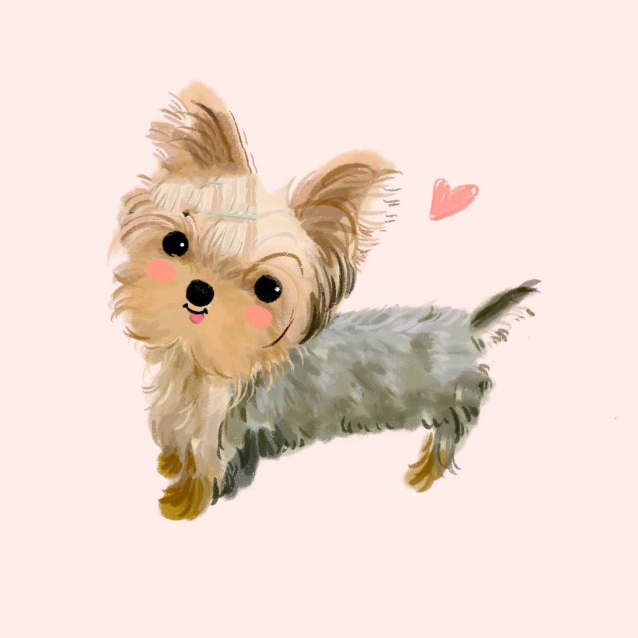 宠物定制|爱吐舌的约克夏卖萌头像合集 画风为可爱插画风,非一比一