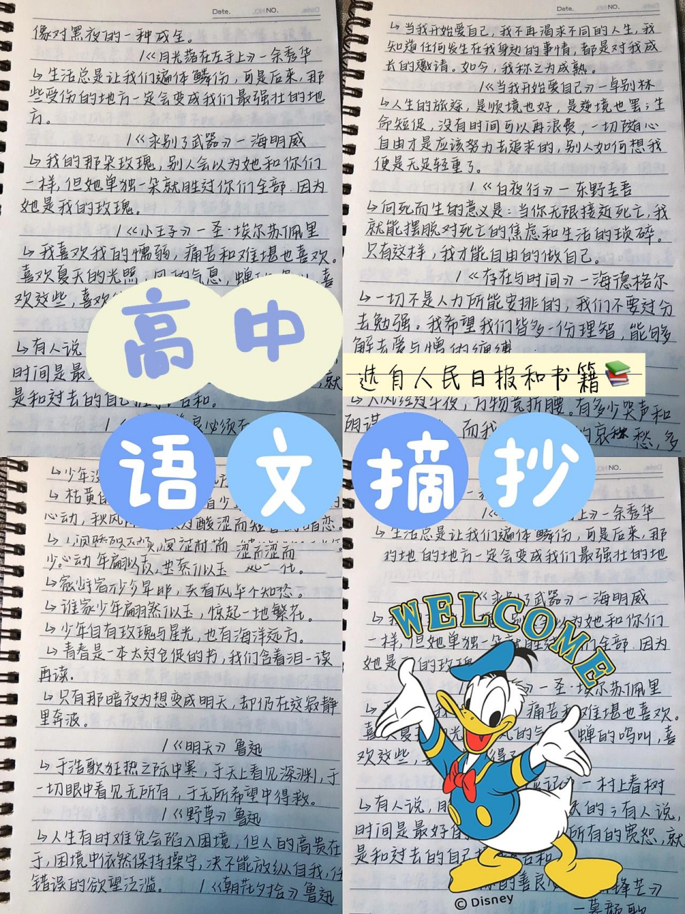 高中语文摘抄 宝宝们喜欢的就点点赞 ,评评论,关注一下啦 有什么学习