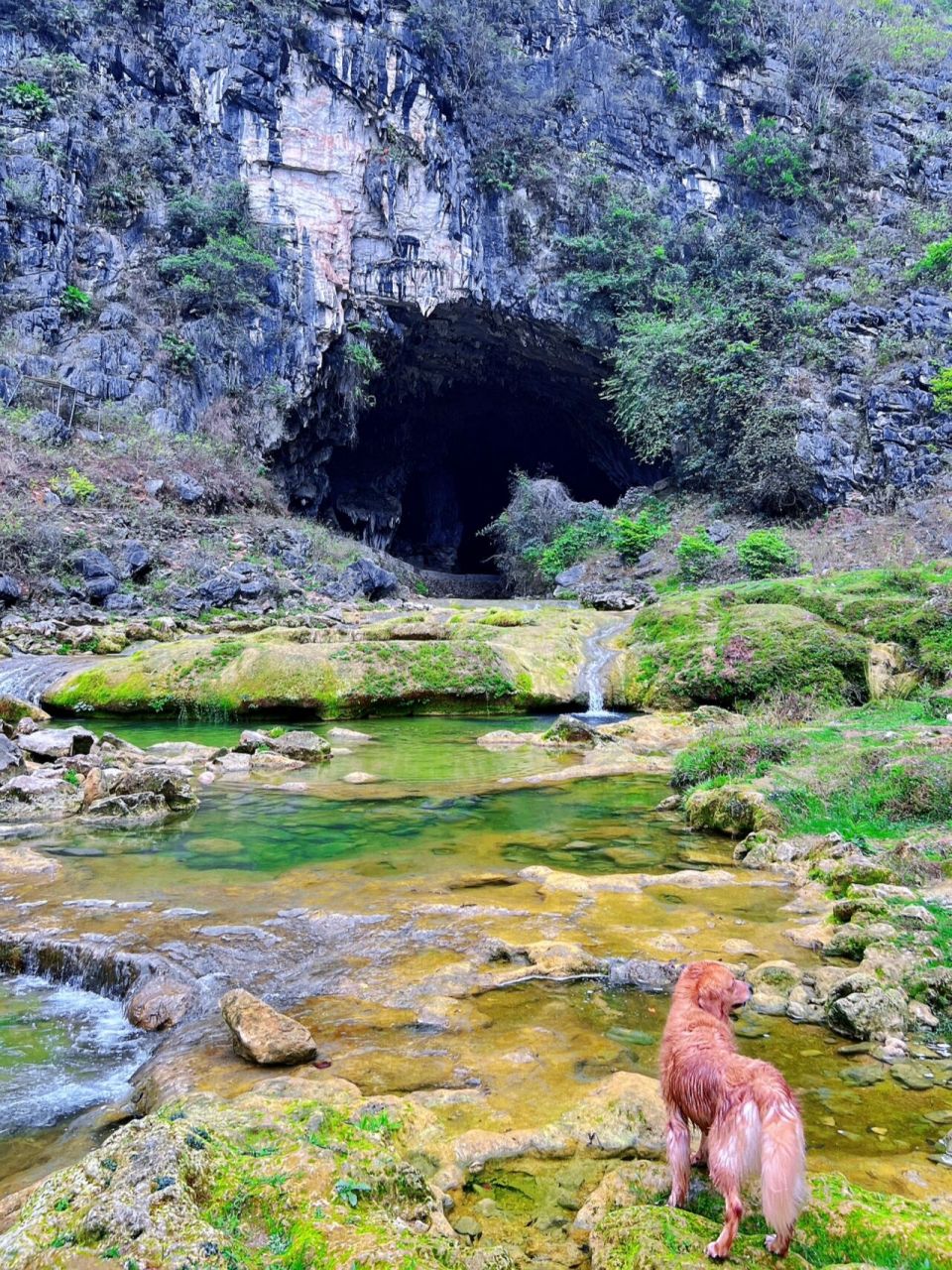南宁周边游好去处|人少景美的马山敢挂洞 种草了好久的马山县敢挂洞
