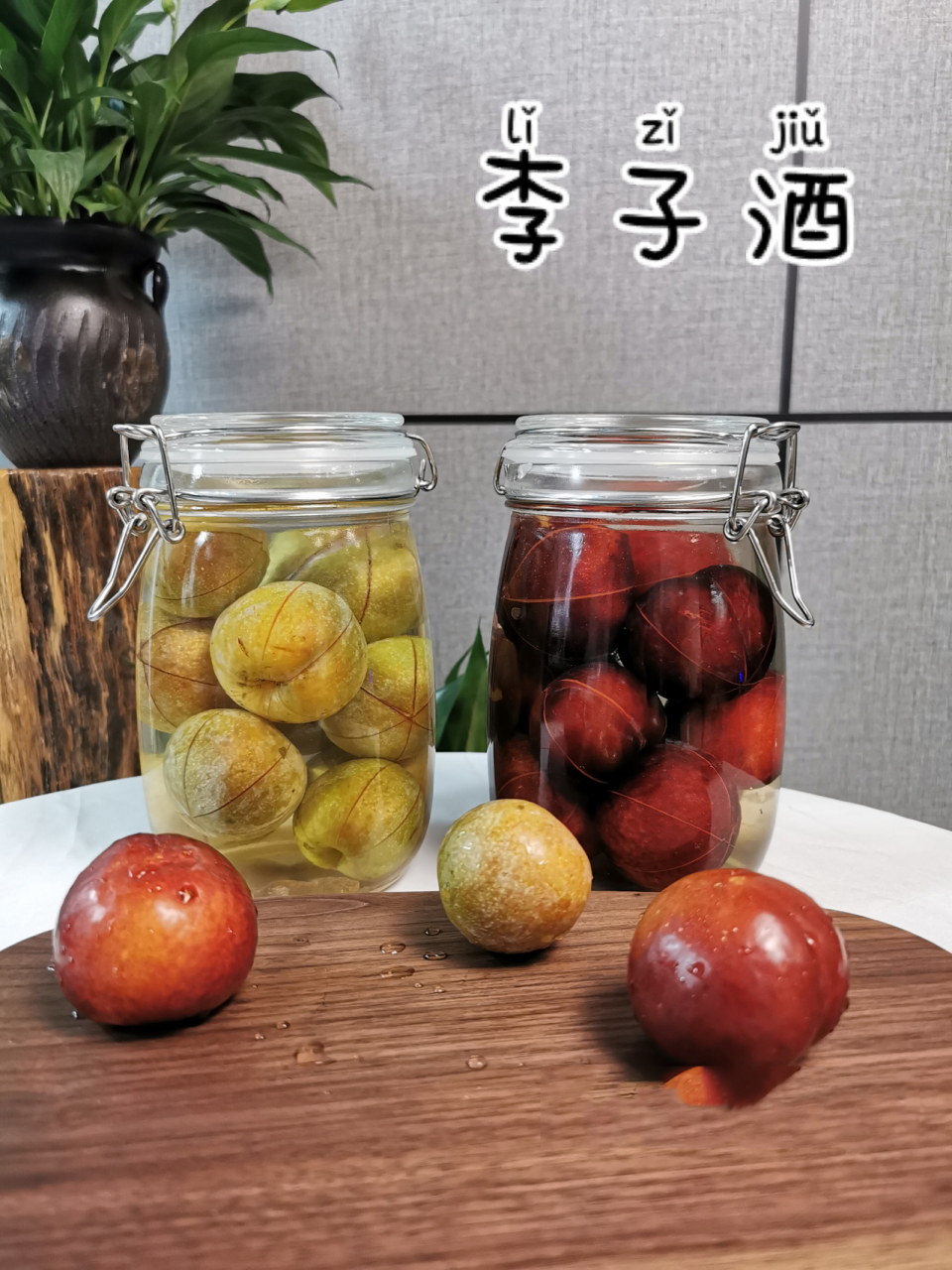 🍃李子酒|自己动手纯天然🌾发酵果酒攻 【功用】 🌱提高肠胃