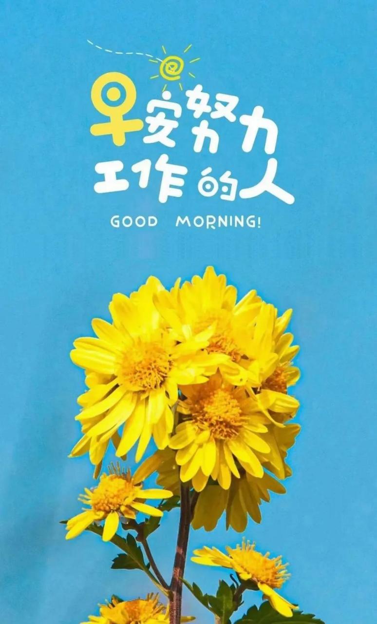 岁月深长,来日可期 愿不断努力生活的人 穿过风雨,依然灿烂 积极向上