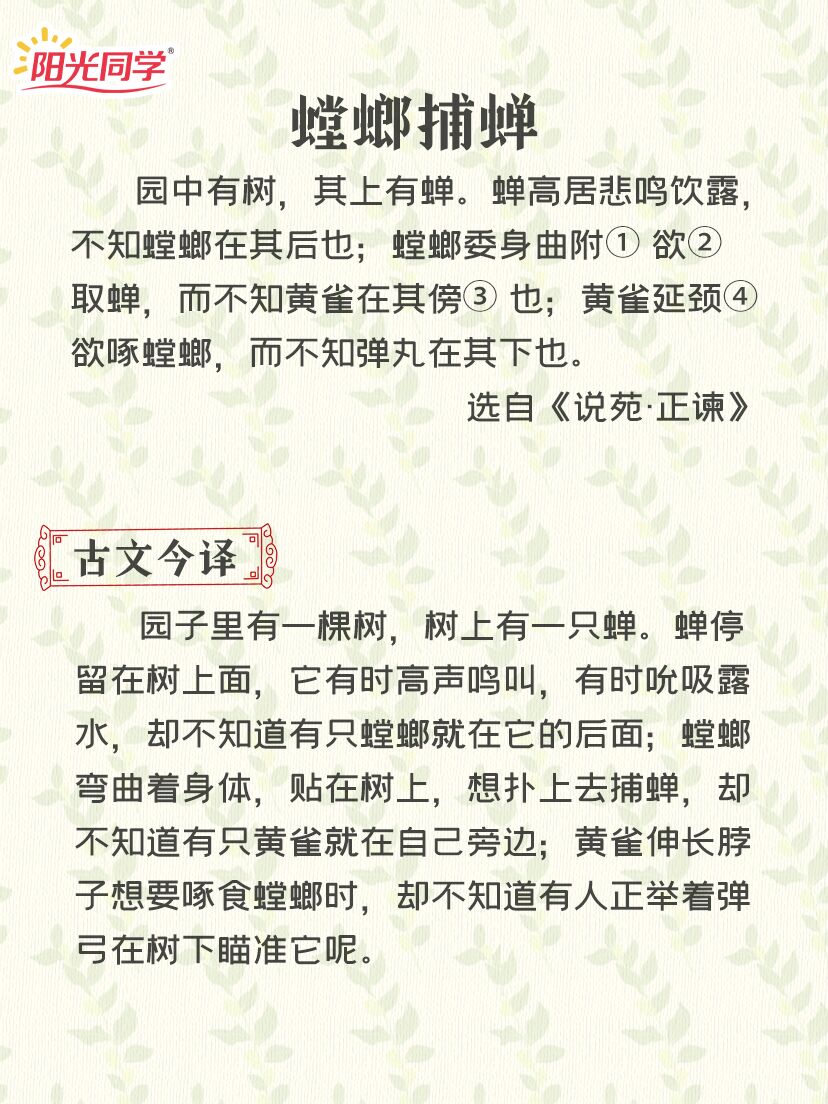 捕蝉(古言)大姑娘浪图片