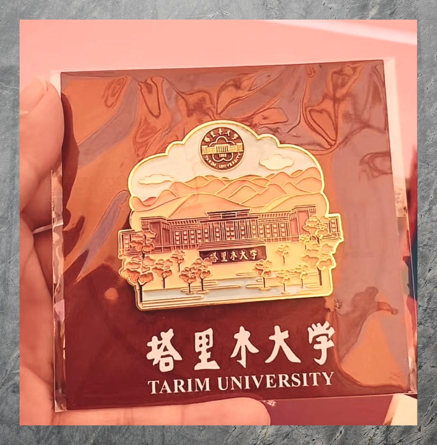 塔里木大学简介