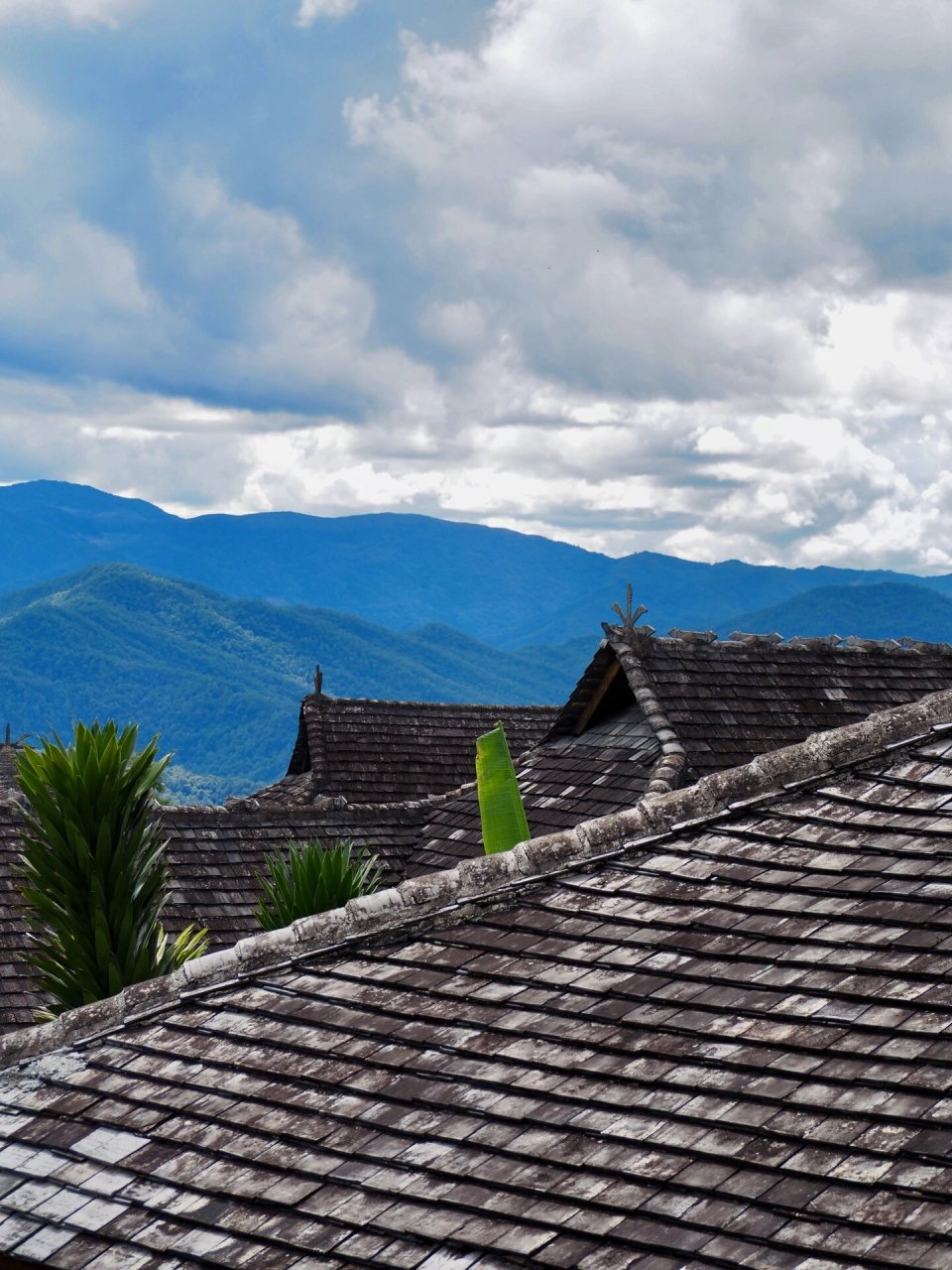 7215 景迈山| 翁基布朗族古寨 每一棵茶树都有灵魂 古茶古寨,相依