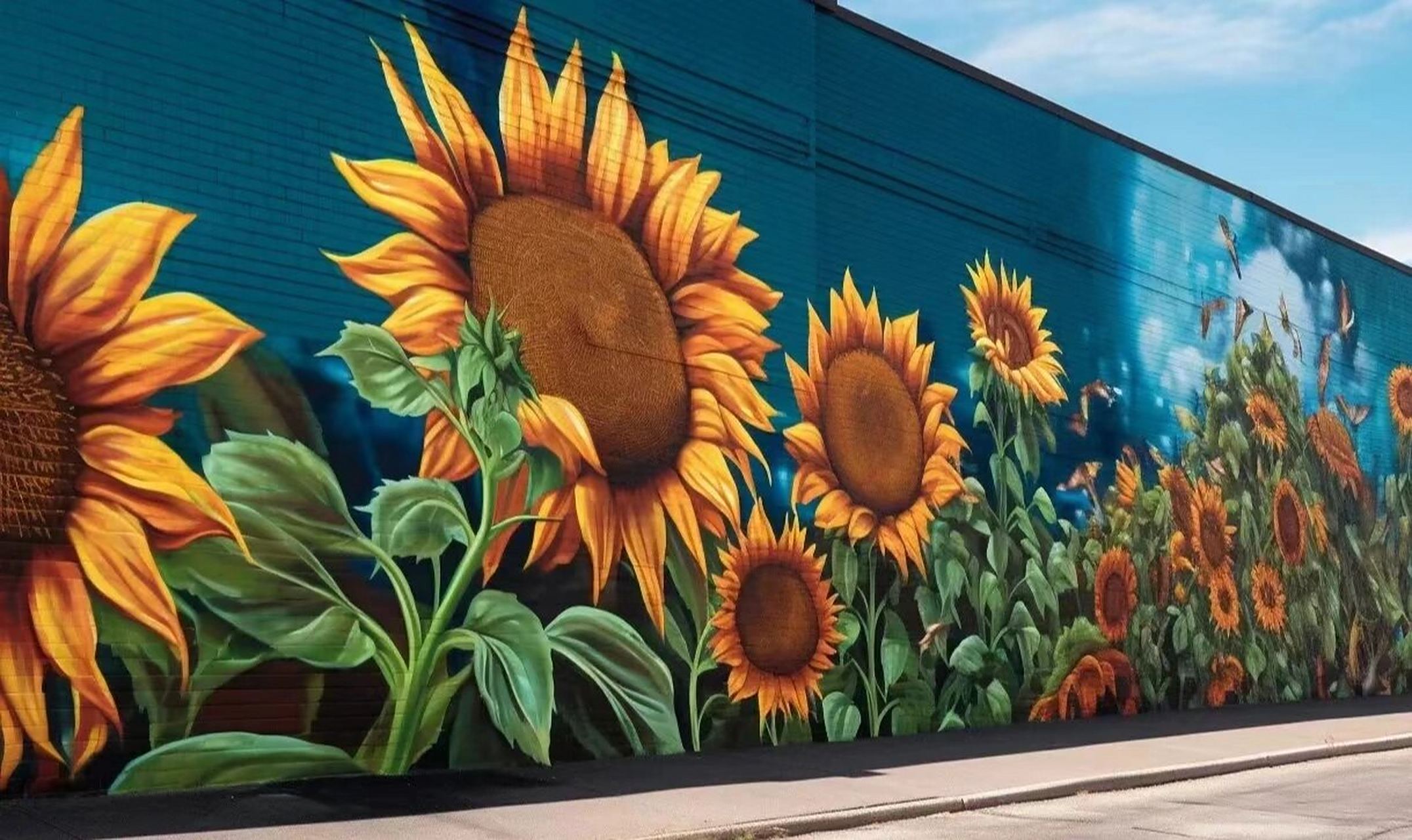 向日葵97花海手绘墙 墙绘向日葵,当你路过一面满是花朵的墙会不会