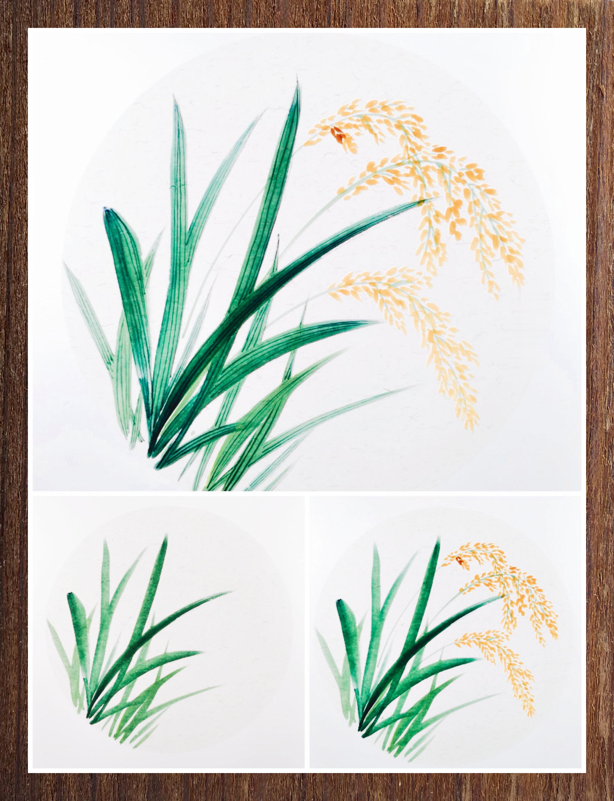 儿童国画入门:绘制水稻田园