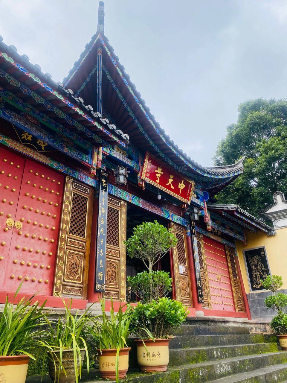 腾冲 | 中天寺:有一群可爱的小狐狸02 龟仙人是真的～ 寺庙很漂亮