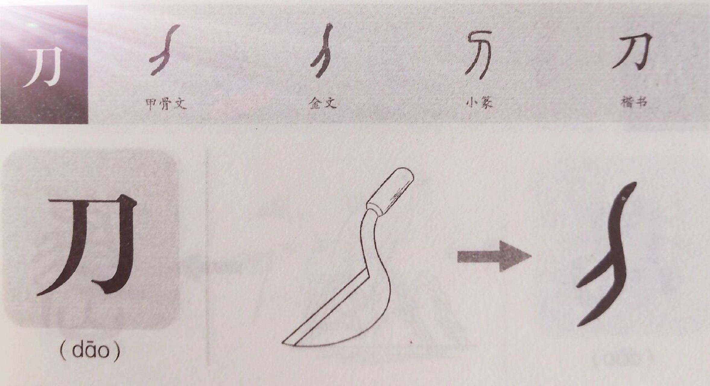象形字刀的演变过程图片