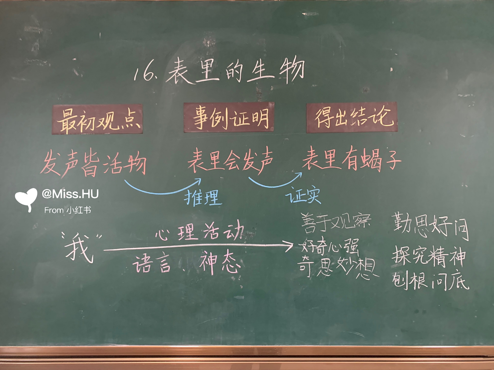 《表里的生物》 六下第16课《表里的生物》