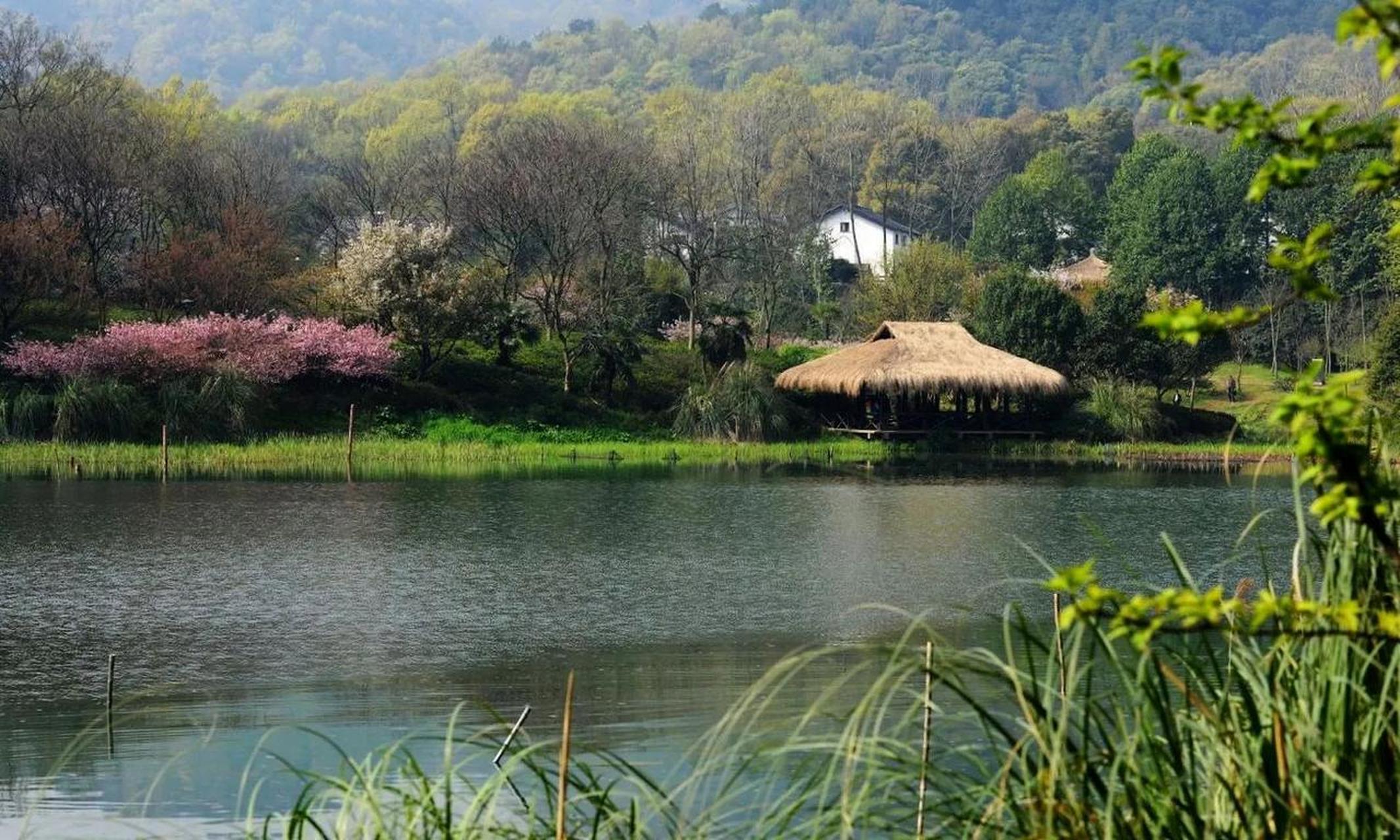 茅家埠景区是一个融合了传统与现代的旅游景点,位于杭州市西湖区,距离
