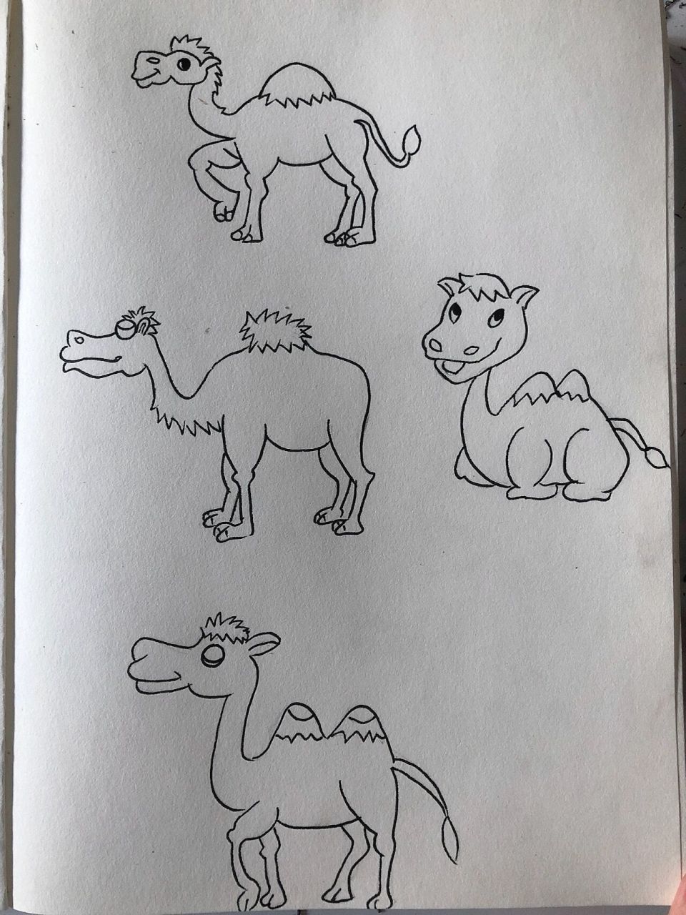 骆驼插图简笔画图片