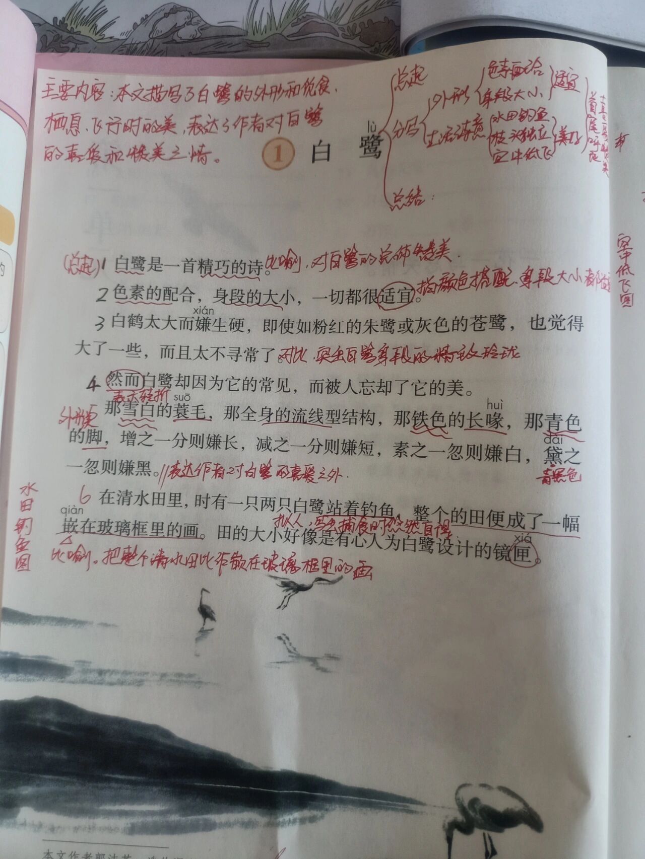 部编版五年级上册《白鹭》课文笔记