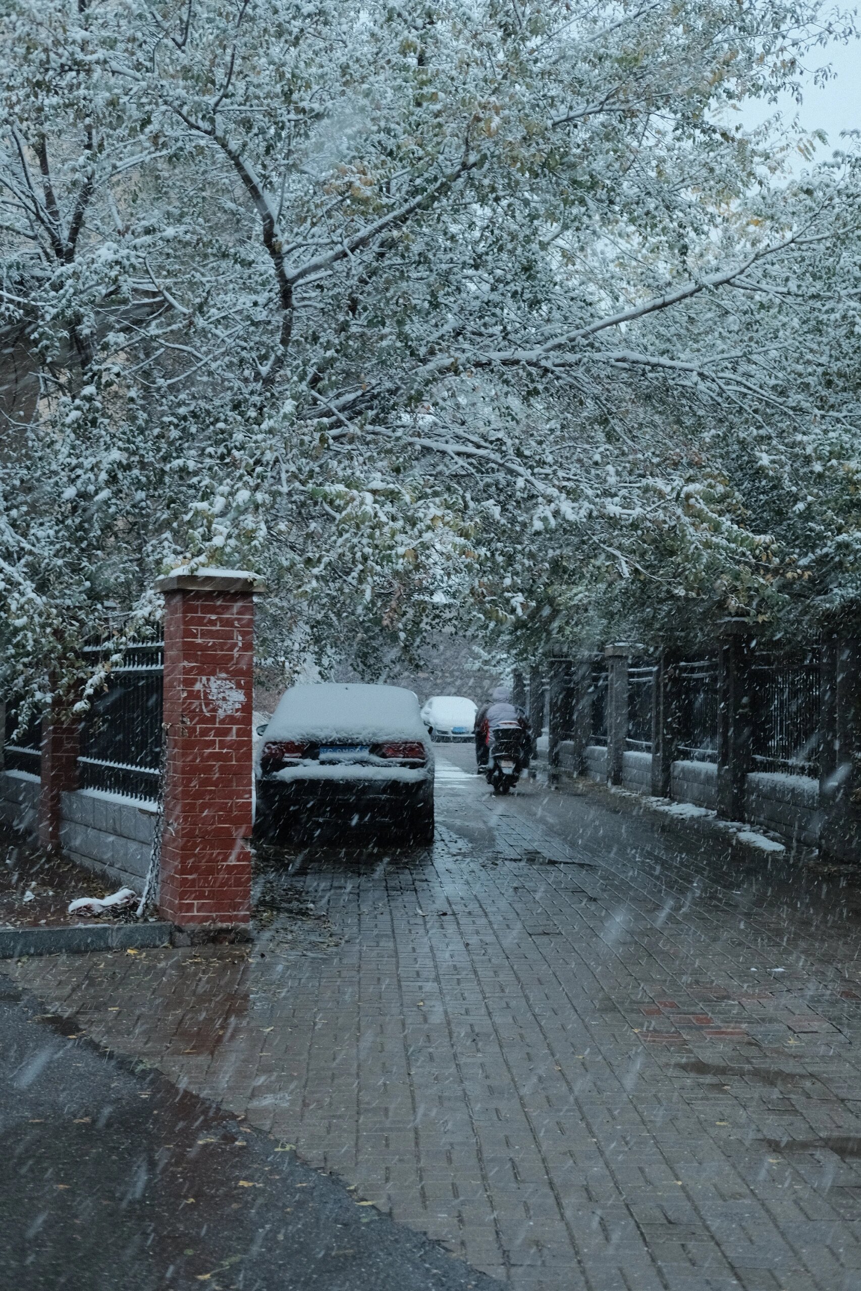 锦州雪景图片