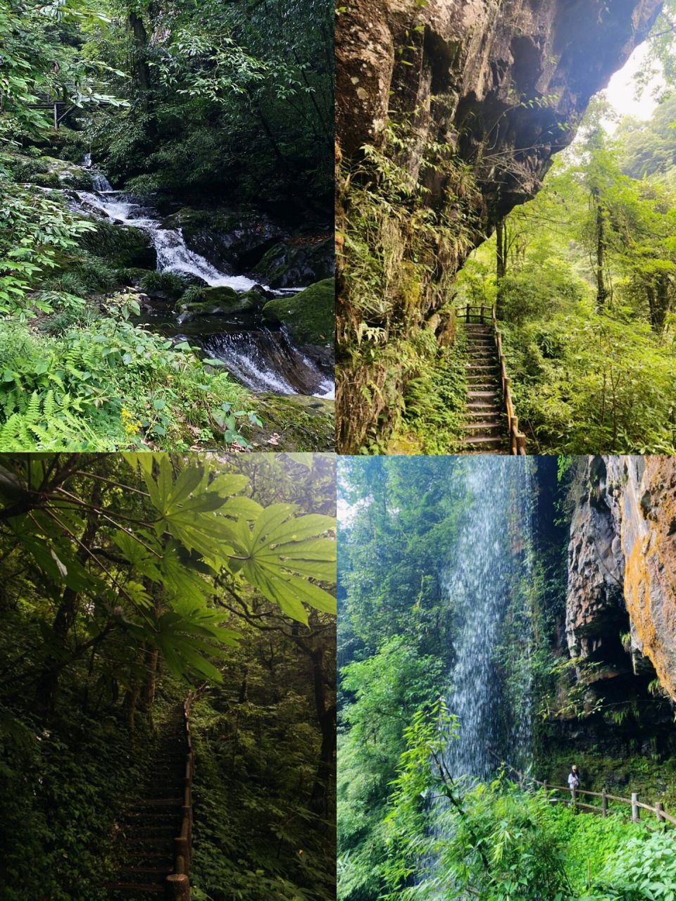 成都周边避暑两天一夜攻略 距离成都2个半小时车程的龙苍沟森林公园