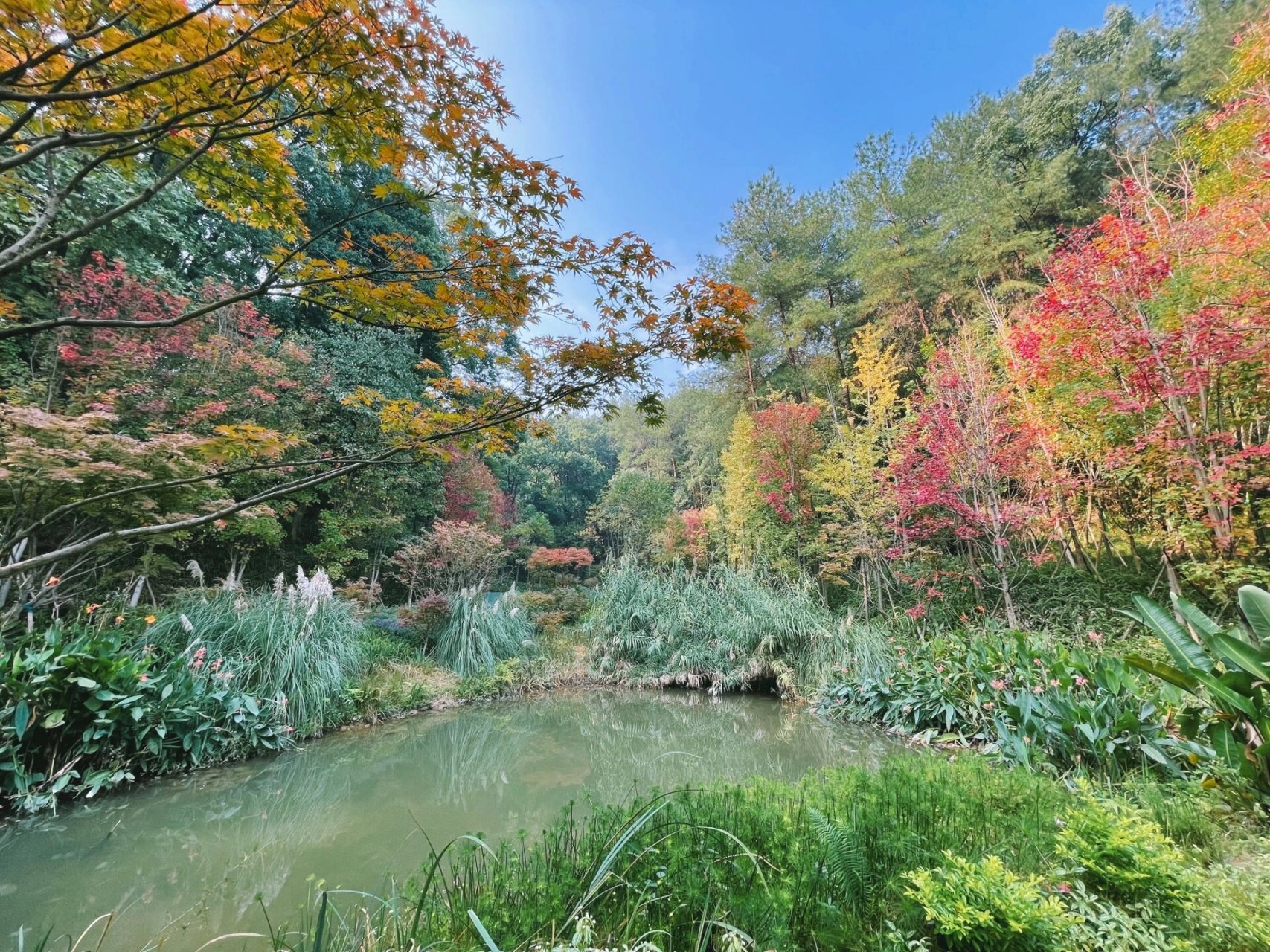 北碚黛湖公园图片