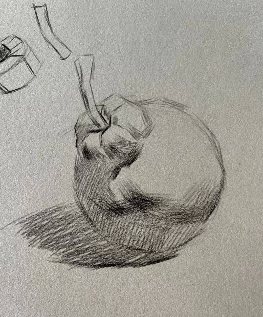 素描静物梨起形到完整步骤 素描静物梨起形到完整步骤