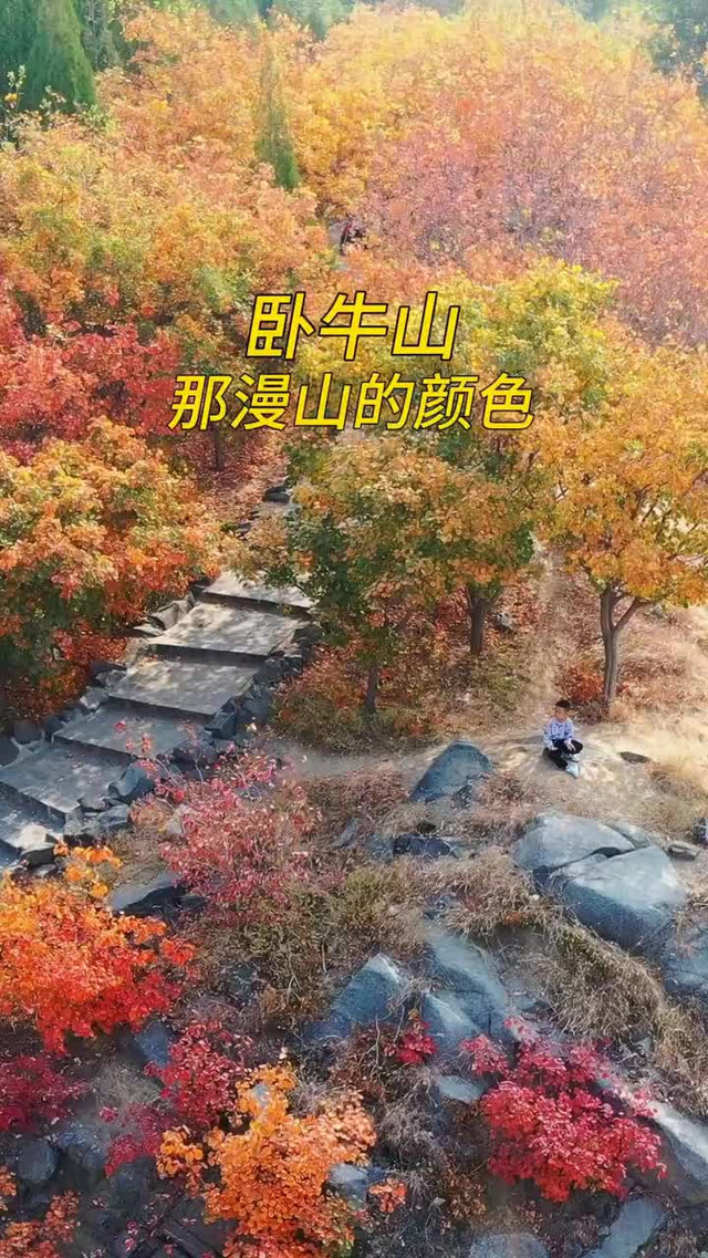 济南旅游|卧牛山地质公园
