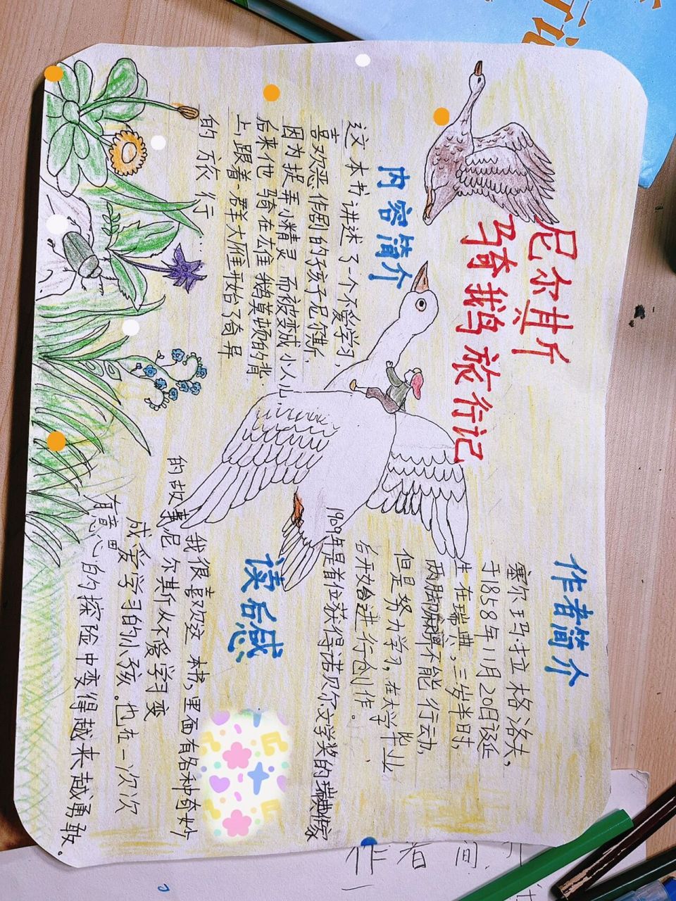 尼尔斯骑鹅旅行记 二年级,老师让做的好书推荐卡,放学花了2小时完成